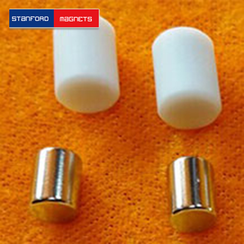 Teflon (PTFE) Coated Magnets