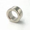 magnetized neodymium ring