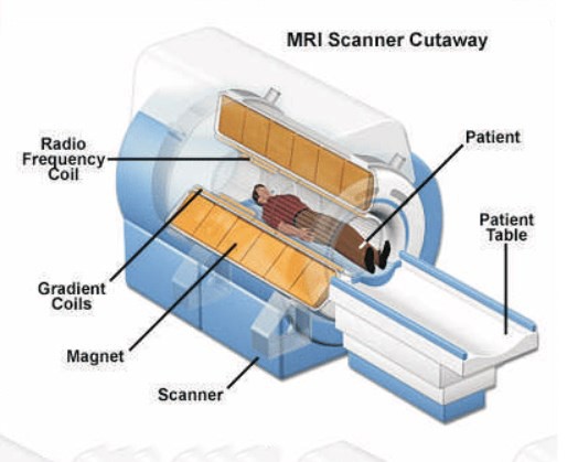 Basic Compartments of the Magnetic Resonance Imaging MRI System