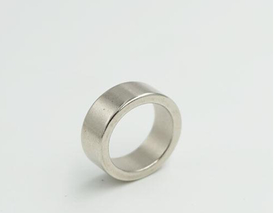 Magnet guide wear ring use for| Alibaba.com