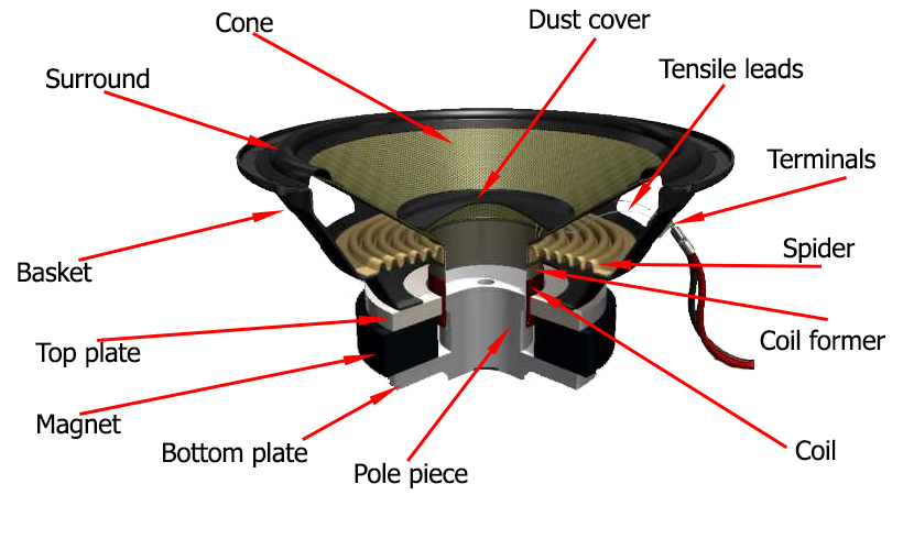 Magnets in Speakers