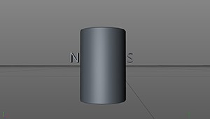 Radial Dual-Pole Cylindrical Magnet